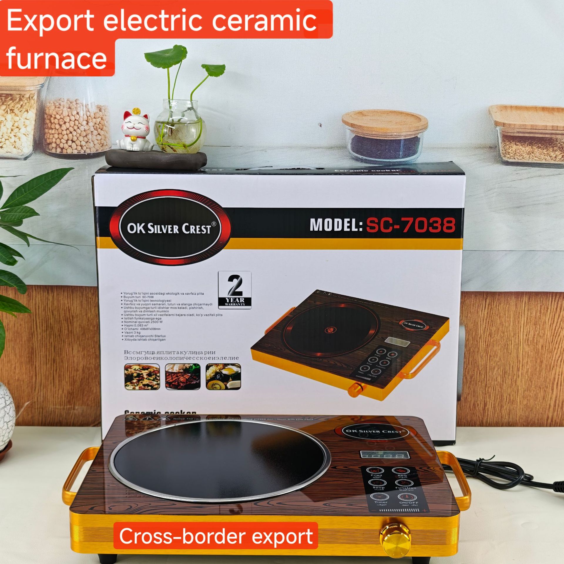 Dual Burner Electric Ceramic Stove
